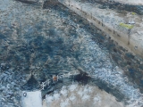 WhaletownDefences