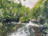 River-Don-BeeleyWoods