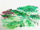 Towards-Eyam-Moor